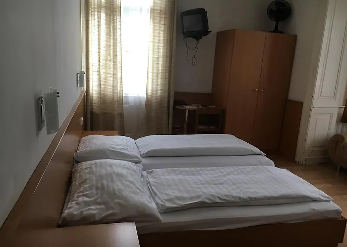 Pension Ani Viena