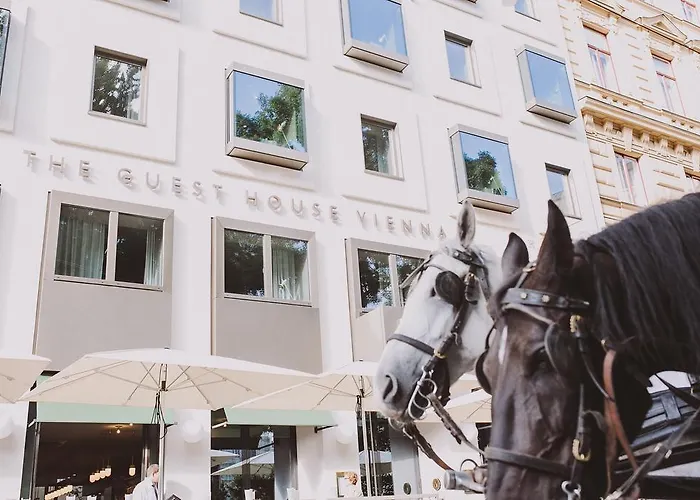 The Guesthouse Viena